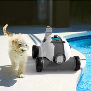 pool cleaner