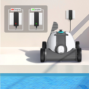 pool cleaner
